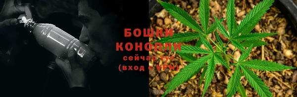 бутират Лагань