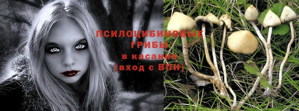 гидра Лабытнанги