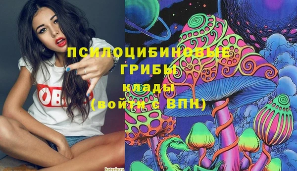 шишки Ладушкин
